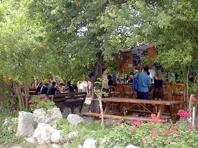 Bayrams Tree Houses Olympos Exterior photo