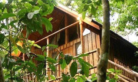 Bayrams Tree Houses Olympos Exterior photo